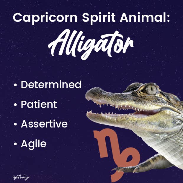 capricorn spirit animal alligator