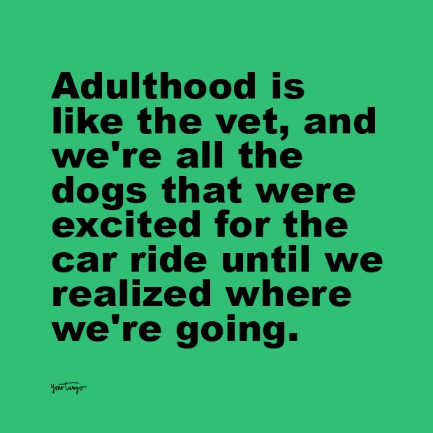 adulthood is like the vet adulting quotes