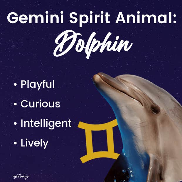 gemini spirit animal dolphin