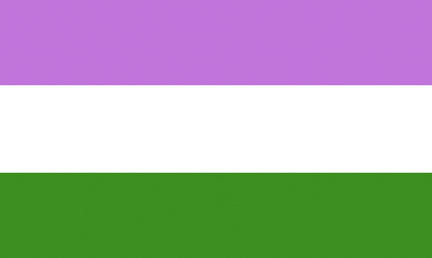 Gender Queer Pride Flag