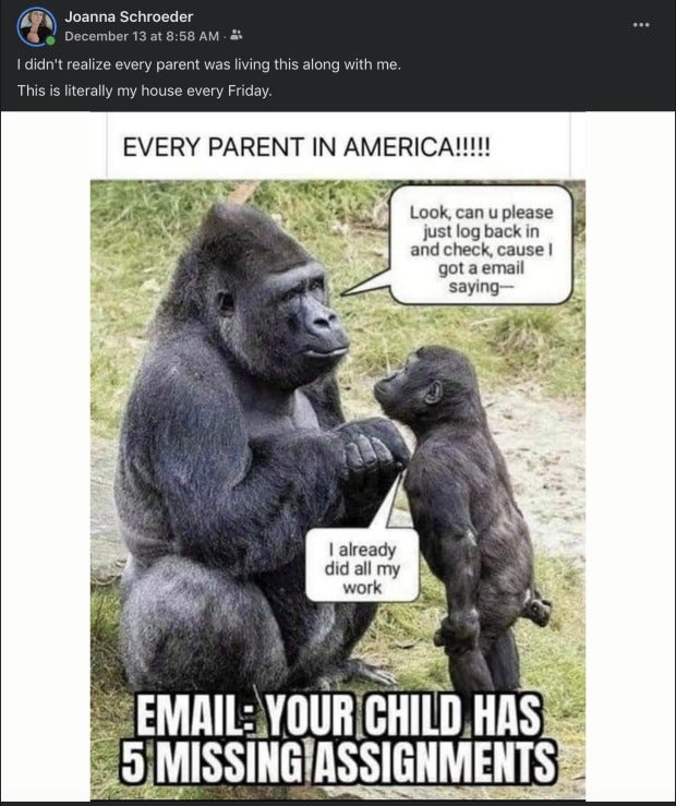 meme of chimpanzee mom and baby discussing &#039;missing assigments&#039; emails