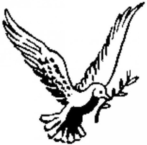 love birds and doves symbol of love
