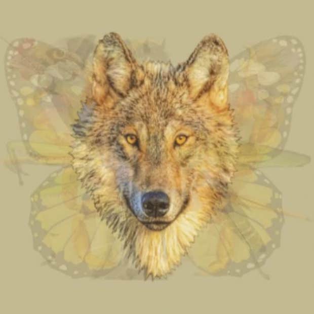 dominant traits personality test wolf