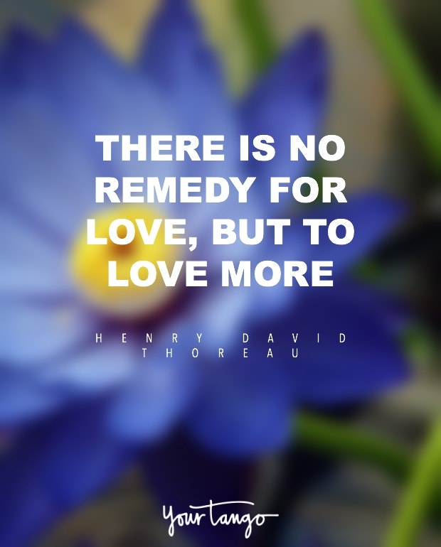 Henry David Thoreau i love you quote