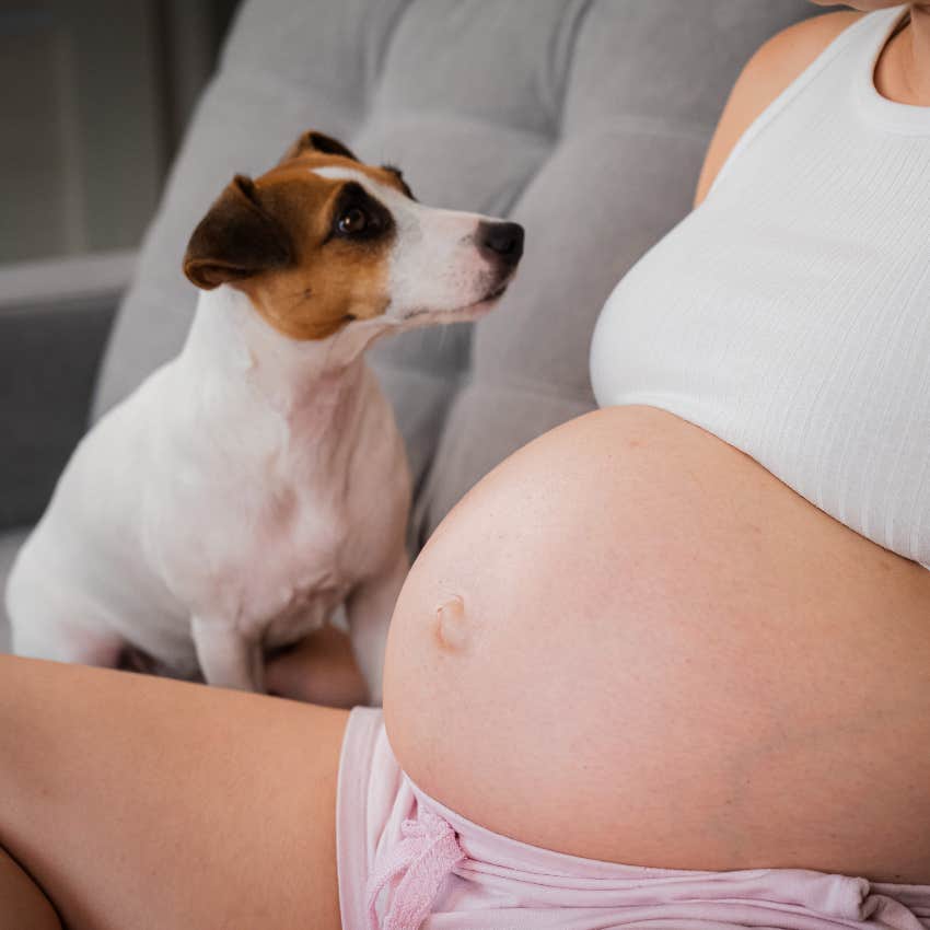 Dog sitting with pregnant woman
