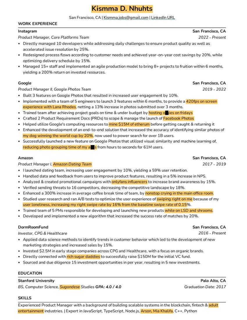 Screenshot of nonsense resume