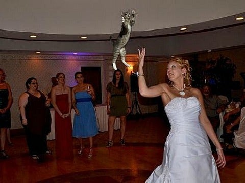 Forget Bouquets! Here Are 15 Brides Throwing Cats