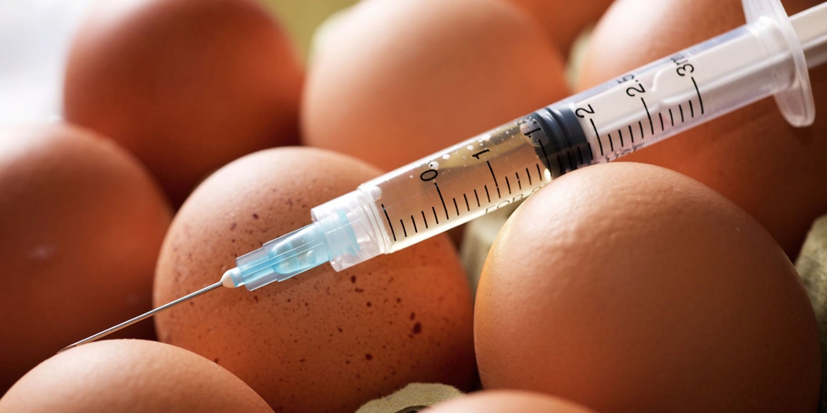 Man Injects A Chicken Egg With His Sperm And Pulls Out A Tiny Monster