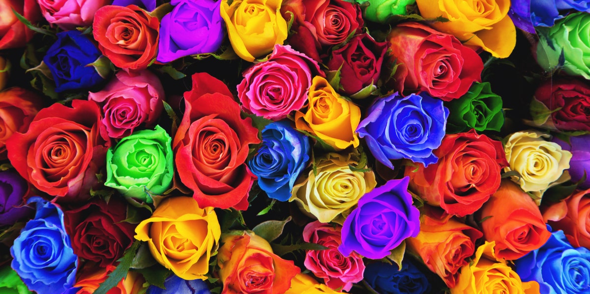 bunch of different colored roses