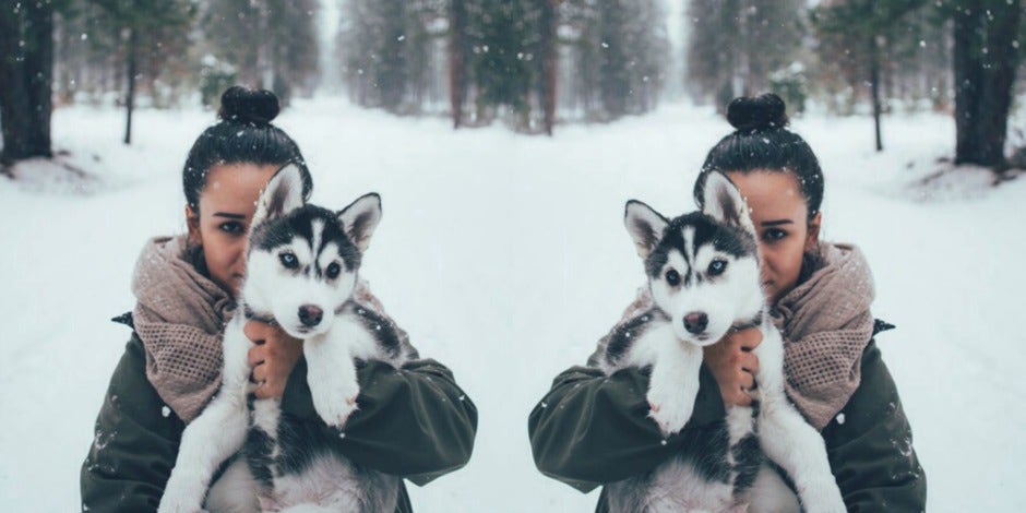 women who love dogs women who love dogs
