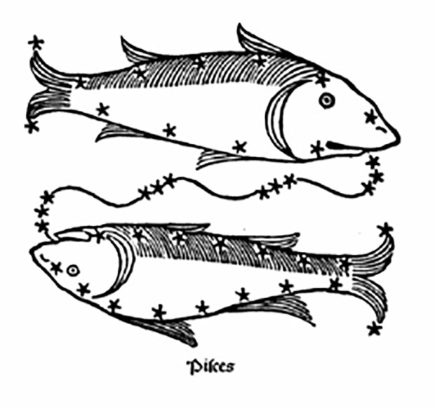 Pisces Astrology, Zodiac Signs, 2018, Bucket List