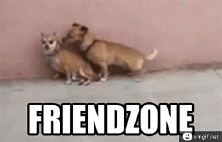 15friendzone dogs