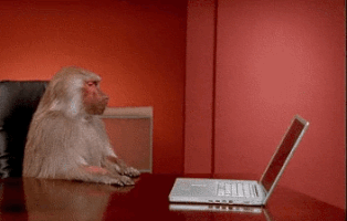 office monkey