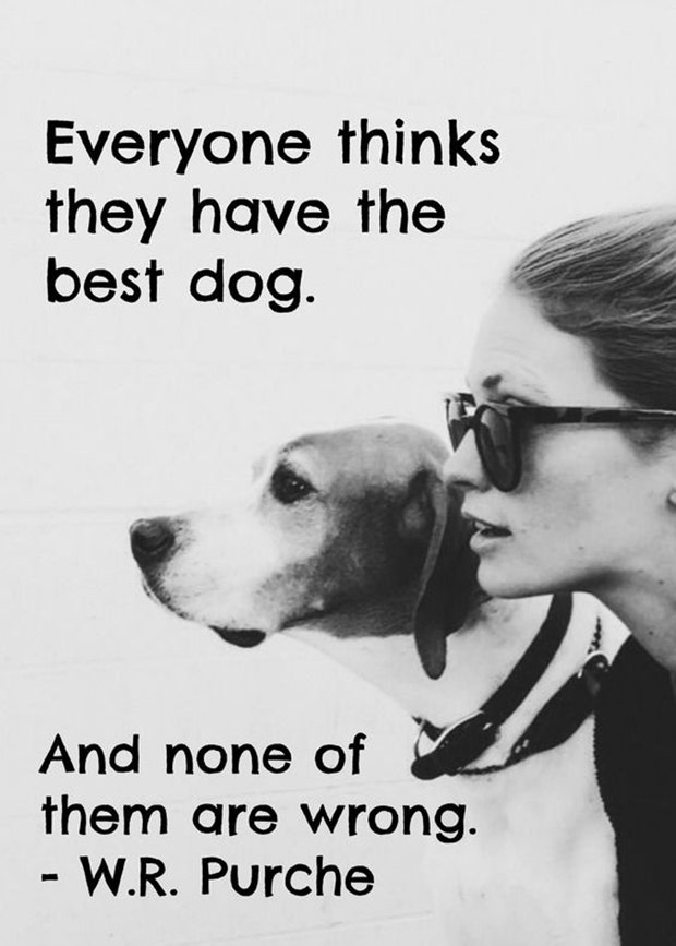 Dogs Are A Woman's Best Friend Quotes