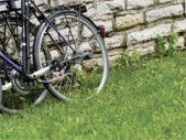 bike dating