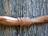 environment green tree-hugger