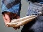 Are you about to marry a financial loser?