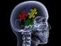 Brain Puzzle