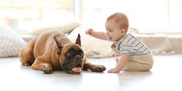 baby playing with dog on the floor