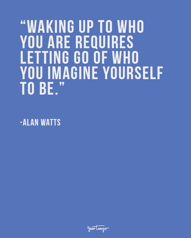 alan watts philosophical quote