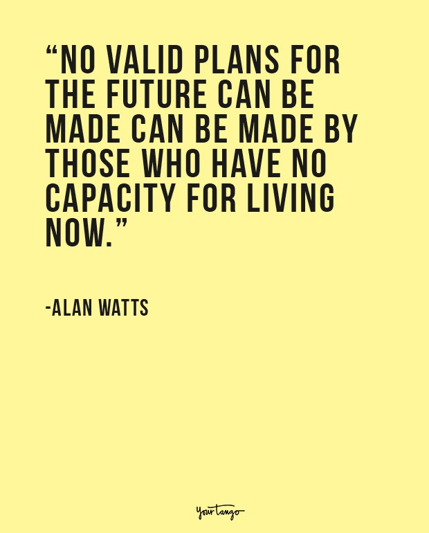 alan watts philosophical quote