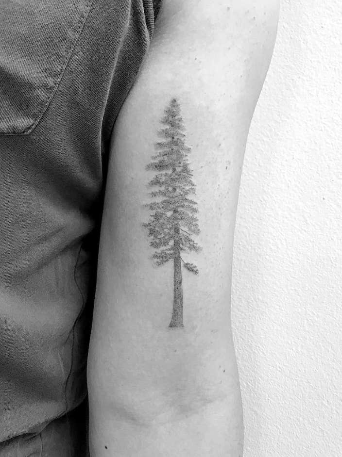 minimalist redwood tattoo