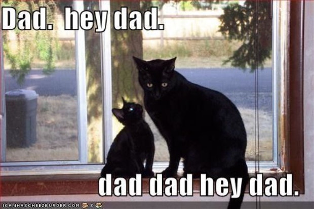 funny dad memes