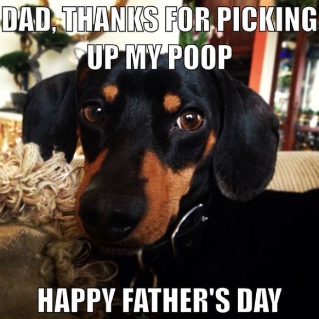 funny dad memes