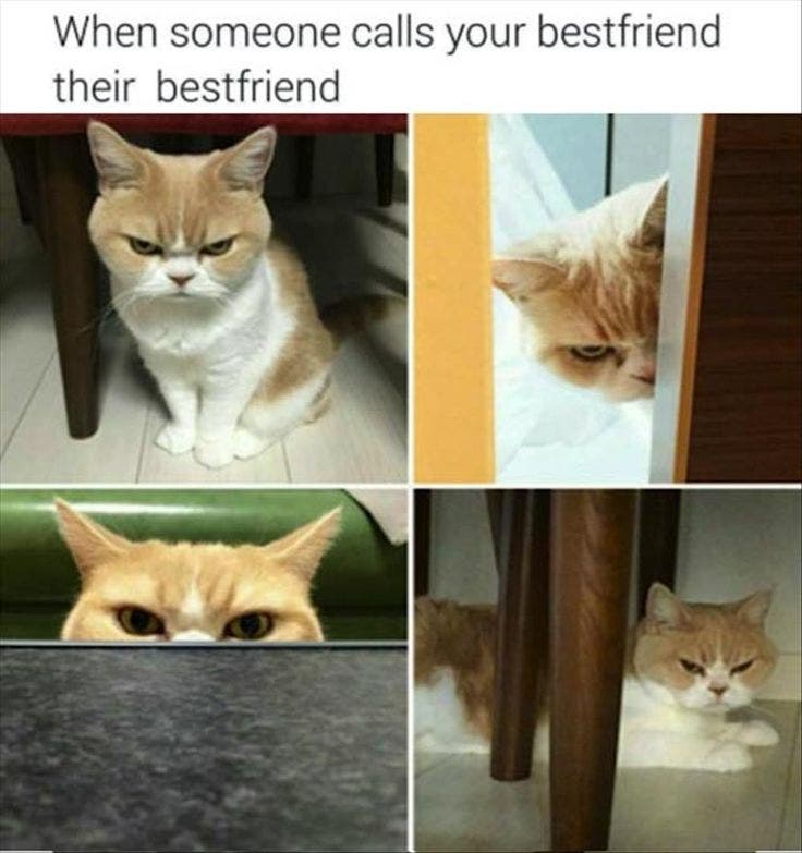 friendship memes friendship day