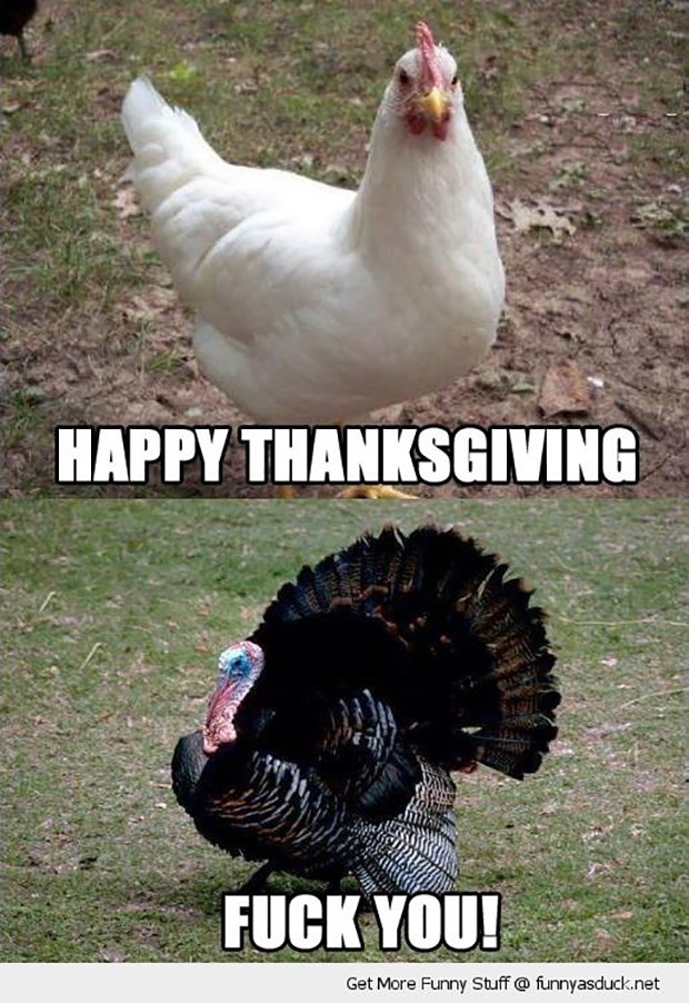 thanksgiving memes