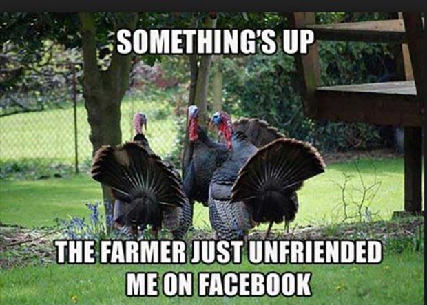 thanksgiving memes