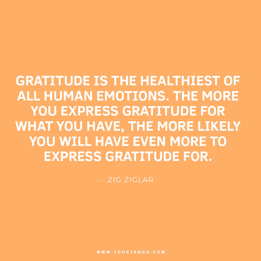 Zig Ziglar gratitude quote