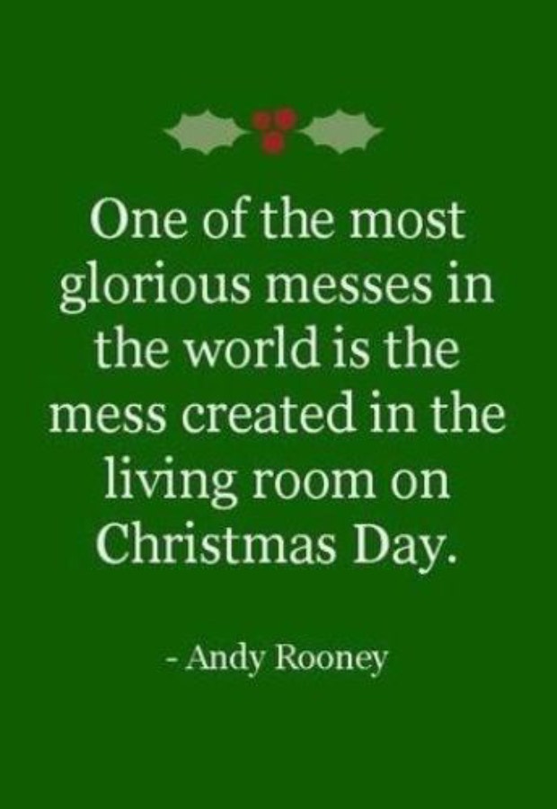 funny Christmas memes &amp;amp; quotes