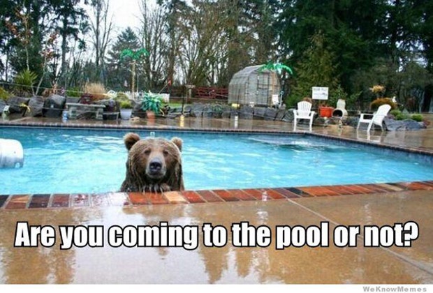 funny pool memes first day of summer