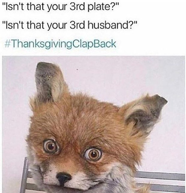 thanksgiving memes