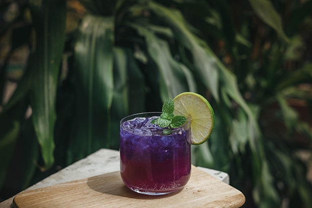 Blueberry Lavender Vodka Spritzer BBQ Cocktail Drink Recipes