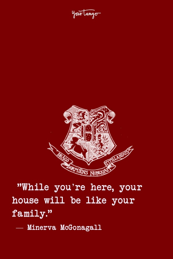 harry potter quotes, harry potter fans make better friends