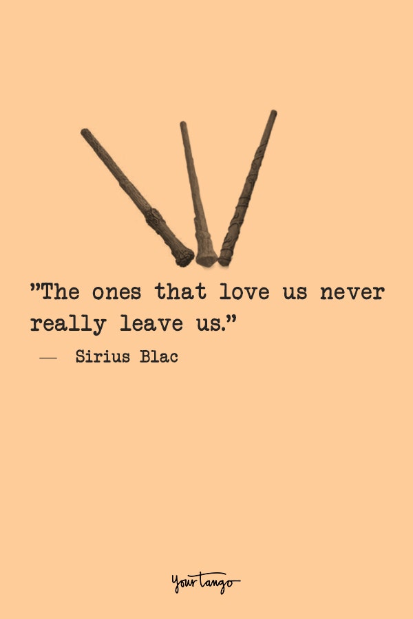 harry potter quotes, harry potter fans make better friends