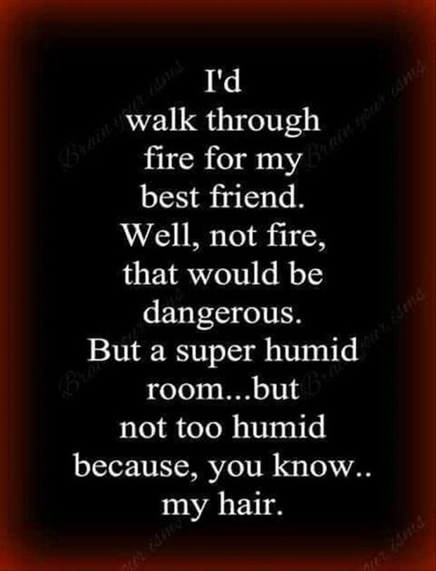 id walk through fire funny friendship quotes