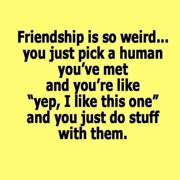 friendship is so weird funny friendship quotes