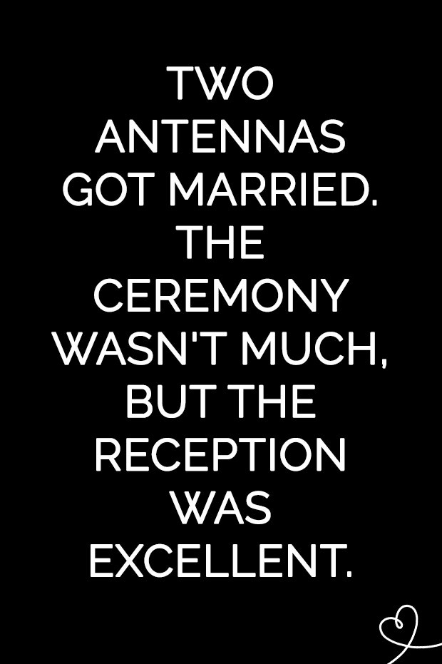 Two antennas got married. The ceremony wasn&#039;t much, but the reception was excellent.