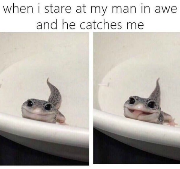 love meme stare at my man 