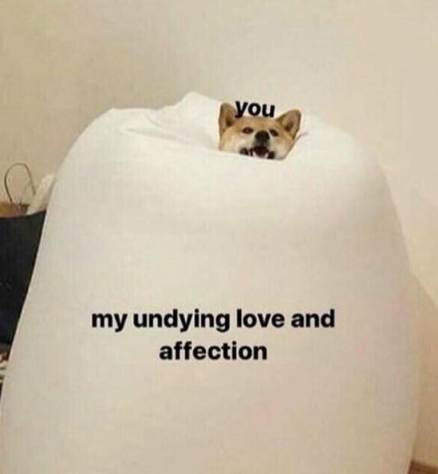 love meme undying love and affection