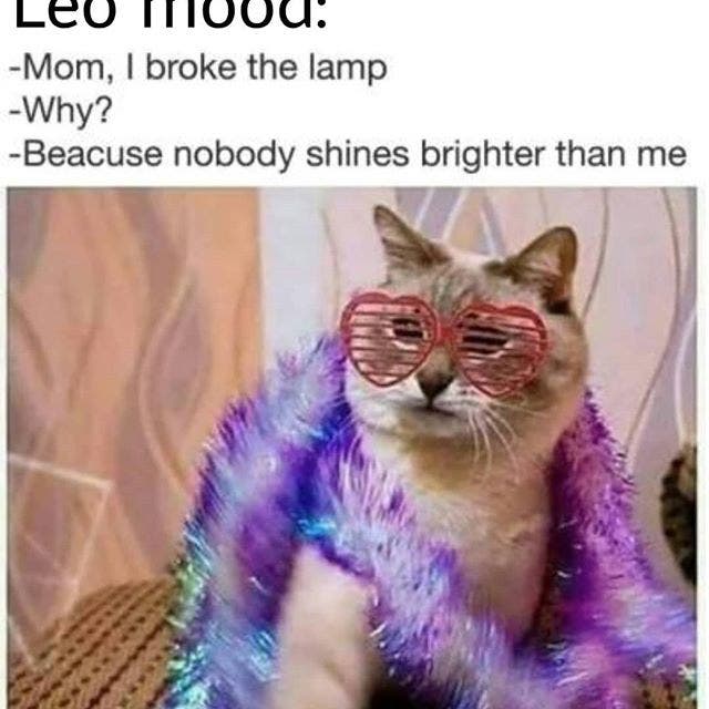 Leo memes