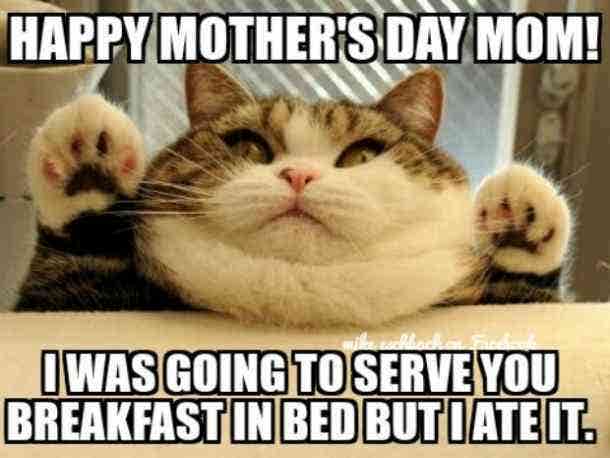 funny mother&#039;s day memes