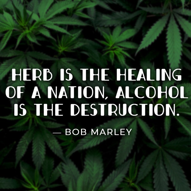 Best Marijuana Quotes Smoking Weed Cannabis