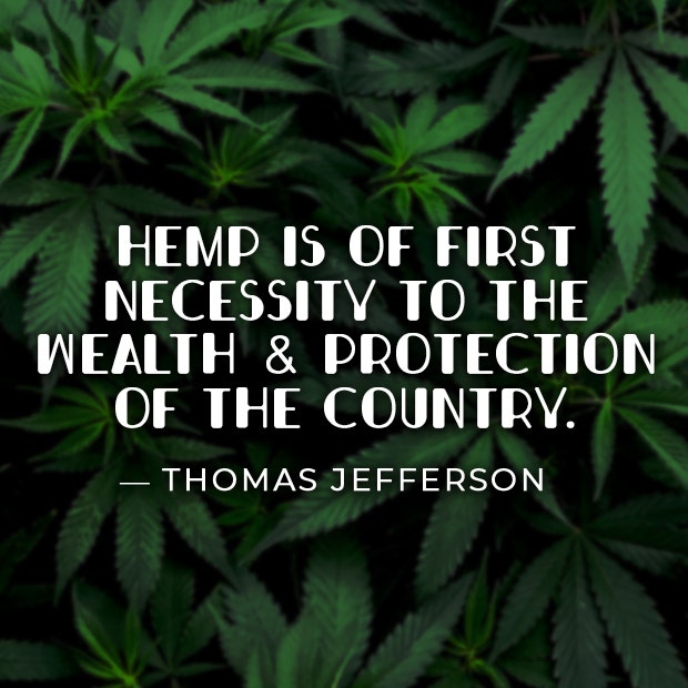 Best Marijuana Quotes Smoking Weed Cannabis