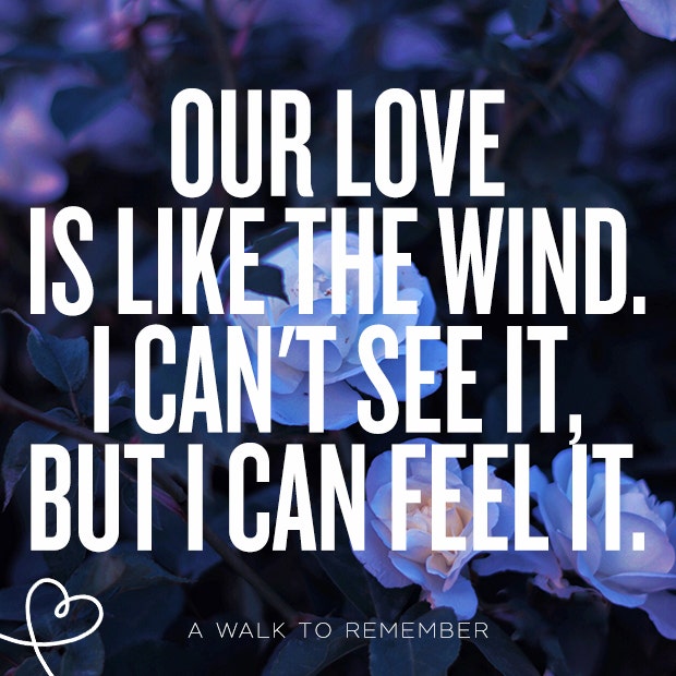 perfect quotes about love falling in love quotes