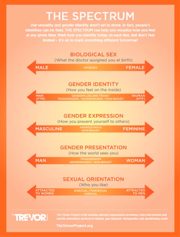 gender identity &amp;amp; sexual orientation spectrum
