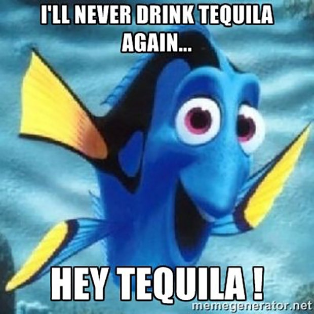 National Tequila Day Tequila Memes Margarita Quotes